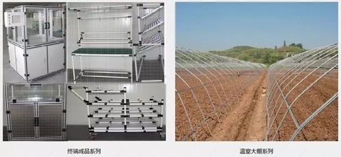 驻厂管理咨询以质取胜谋高远